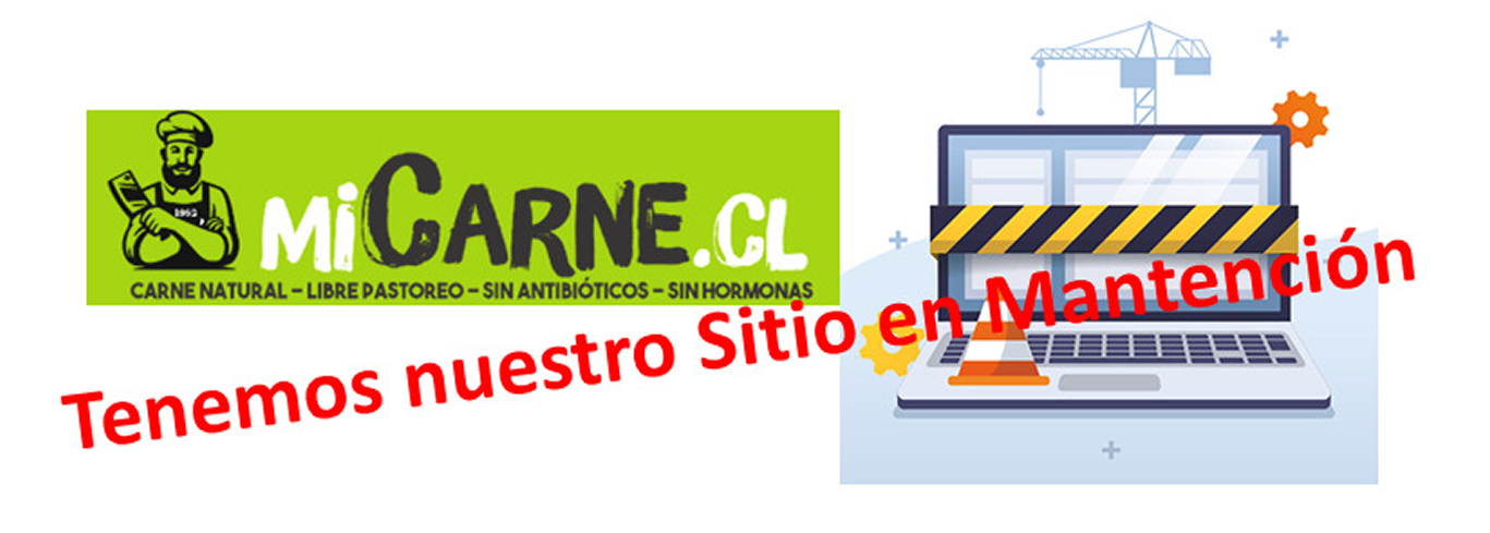 Sitio Web en Mantención